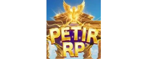 aplikasi petir rp